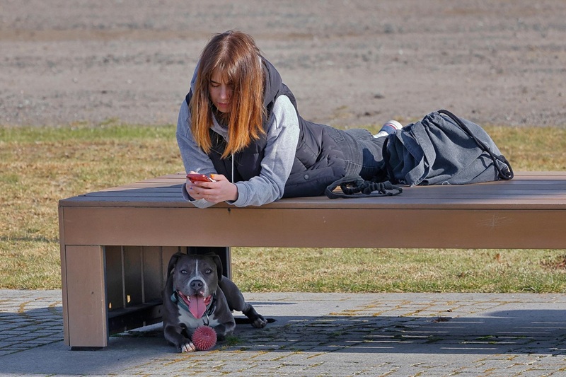 Spring Break Destinations in Southern California a Young Girl Using Her Phone While Laying on a Bench and a Dog Laying Under the Bench with a Small Red Ball in Front of it on the Floor