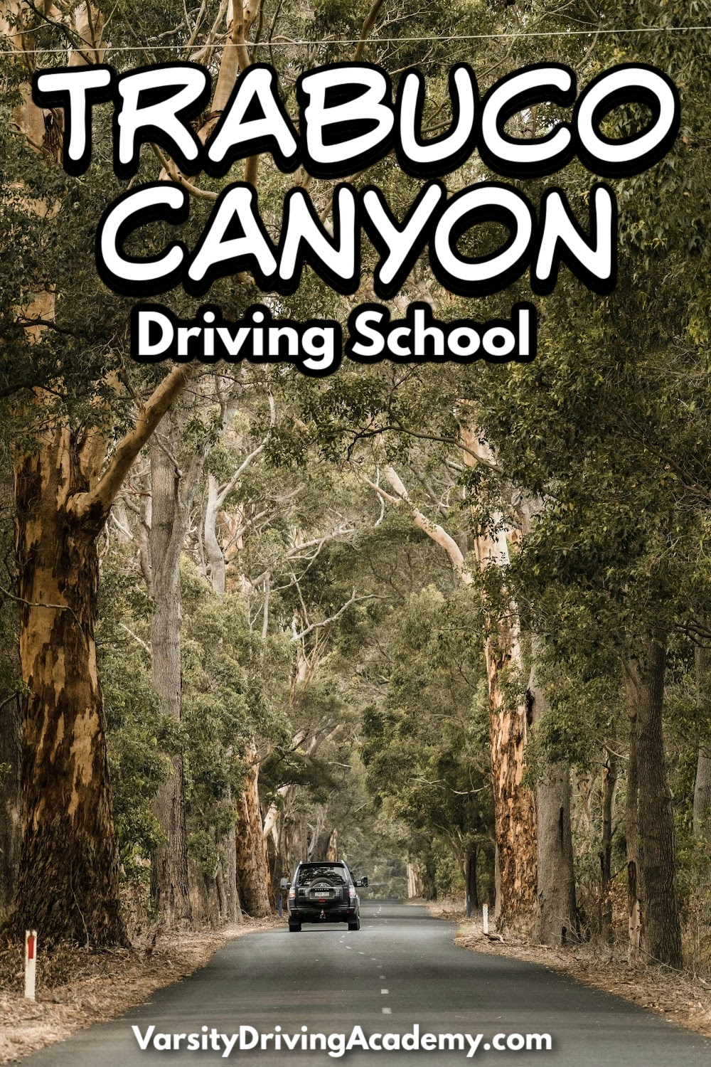 Welcome to Varsity Driving Academy, your #1 rated Trabuco Canyon Driving School.