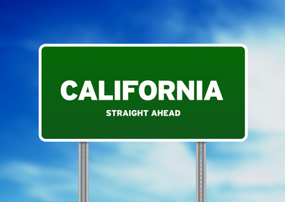 California Driving Test Law ID
