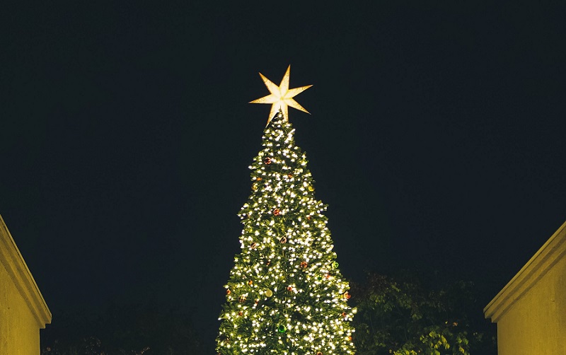 Get your comfy clothes on and get out there to celebrate your favorite holidays at one of the many things to do in Orange County in December 2018.
