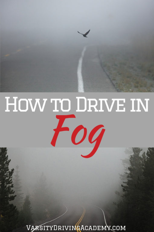How to Drive in Fog VDA Best Driving School in Orange County
