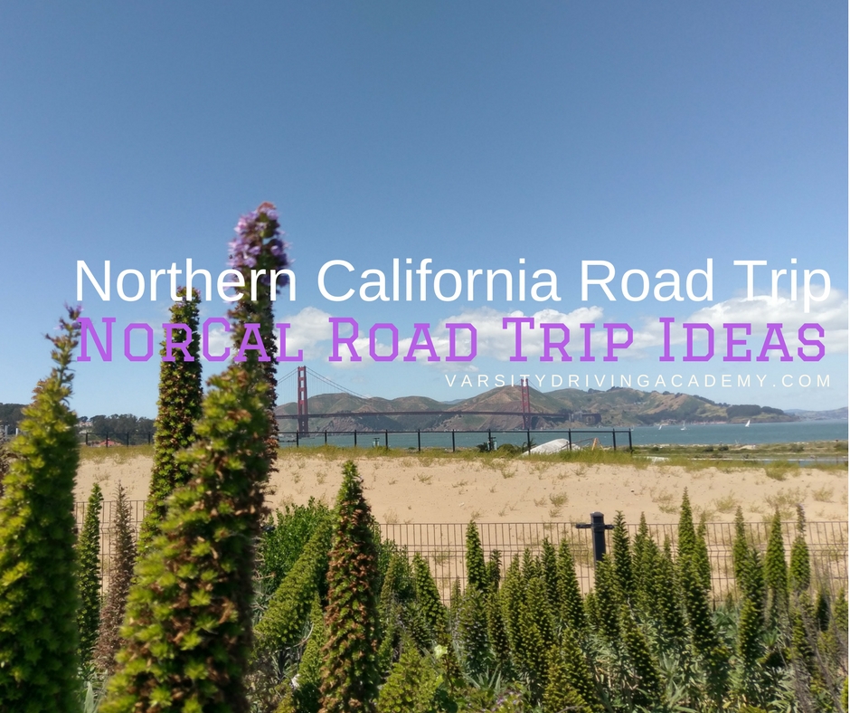 Spend your summer taking a beautiful Northern California road trip and discover why so many people love Norcal road trips.