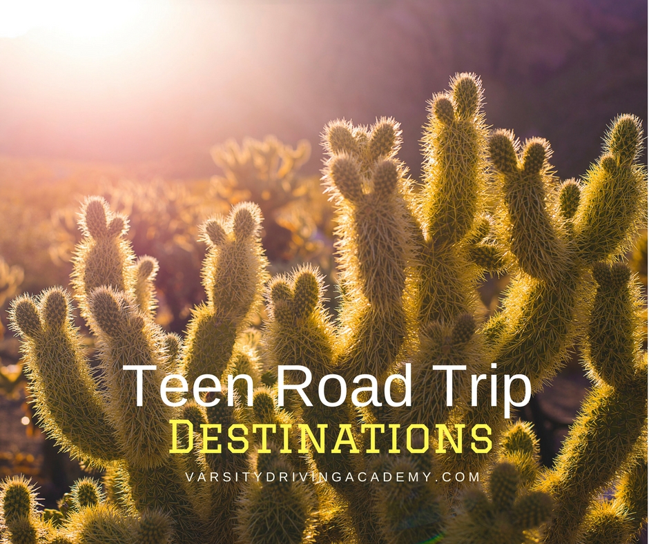 Pick one or more teen road trip destinations and let your teen take the wheel as they travel through new experiences and sights across the country.